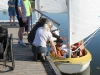 Voluntering
